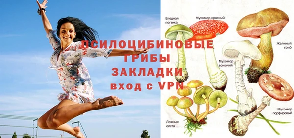 MDMA Лагань