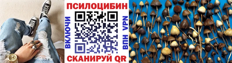 Псилоцибиновые грибы MAGIC MUSHROOMS  продажа наркотиков  Окуловка 